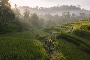 15 Best Things To Do In Bali For A Relaxing And Adventurous Trip