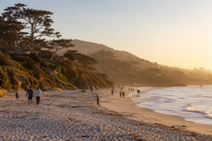 15 Best Things To Do In Carmel: Beaches, Art, Wine, And Scenic Walks