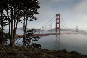 20 Best Things To Do In San Francisco You Can’t Miss