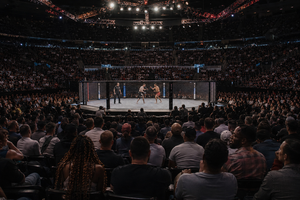 How To Create A Realistic Budget For A UFC Fight Weekend