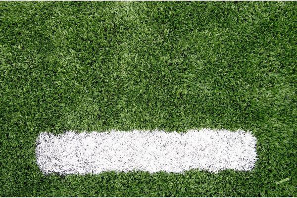 How To Get Paint Off Artificial Grass