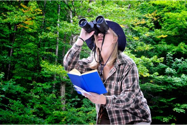 10 Things To Consider When Buying Binoculars For Bird Watching