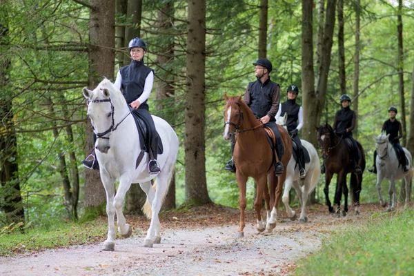 10 Creative Ways To Raise Money With Horseback Riding Activities