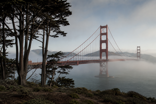 20 Best Things To Do In San Francisco You Can’t Miss