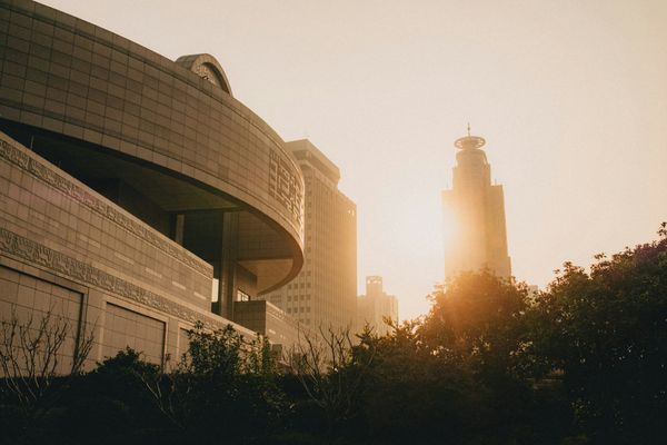 The Last Human in the Room: What Real Estate Agents Will Actually Do in 2030