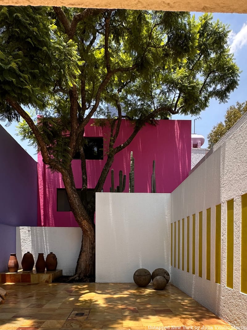 Casa Gilardi's jacaranda tree saved by Barragán—and starring in the orchid show
