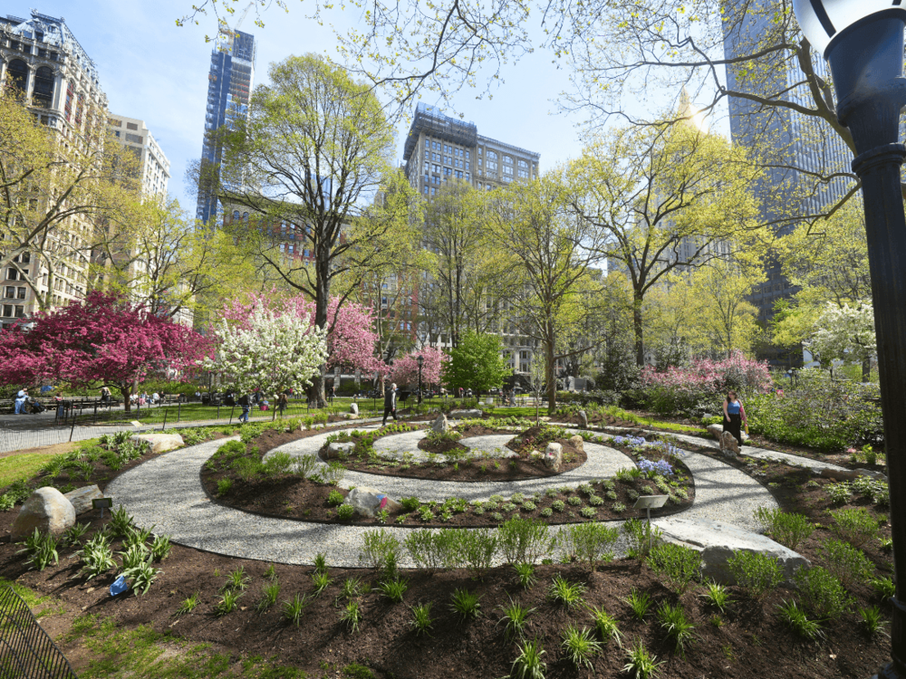 Gardens of Renewal by Lily Kwong,