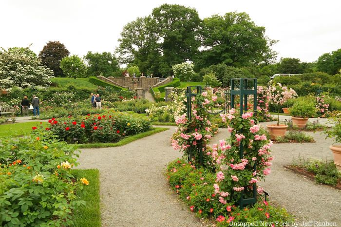 Brooklyn Botanic Garden Rose Garden