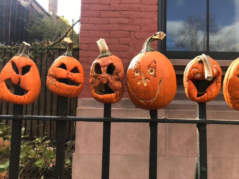 Pumpkins on a fence