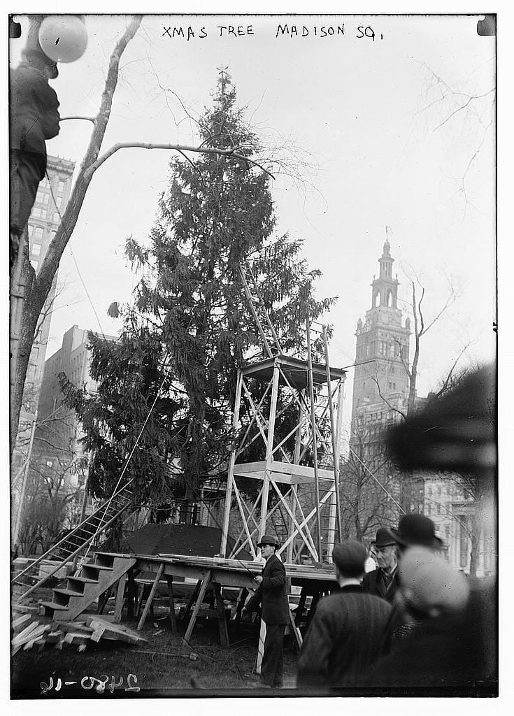 Madison Square Park Public Christmas Tree