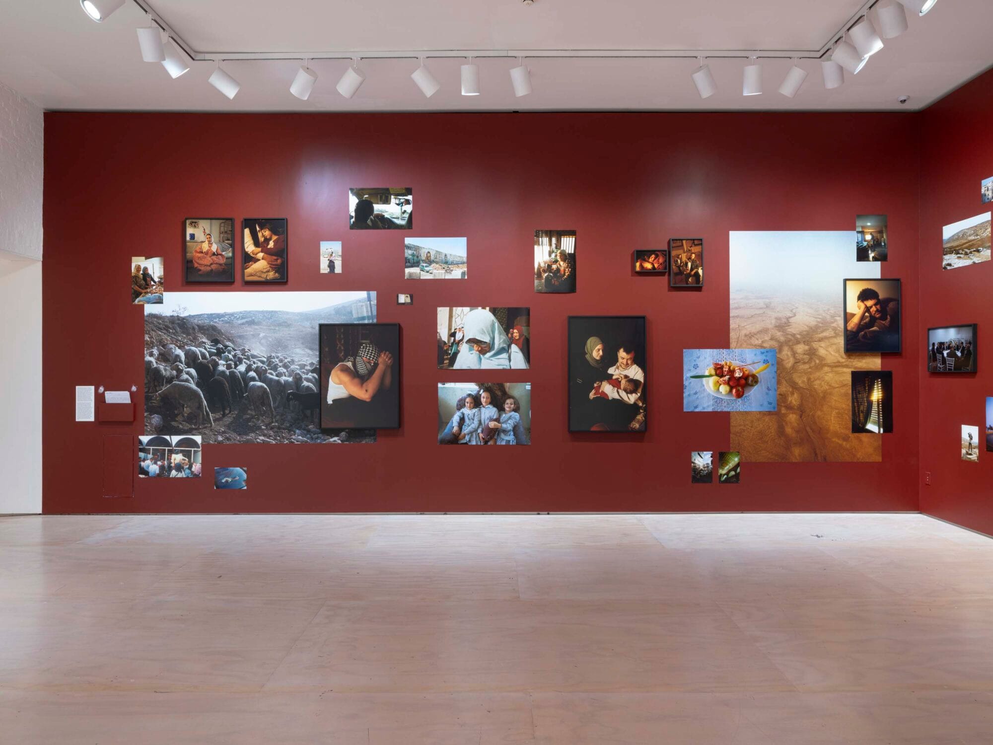 Dean Majd's Photographs from the Birthmark and Separation series. Photo: Kris Graves