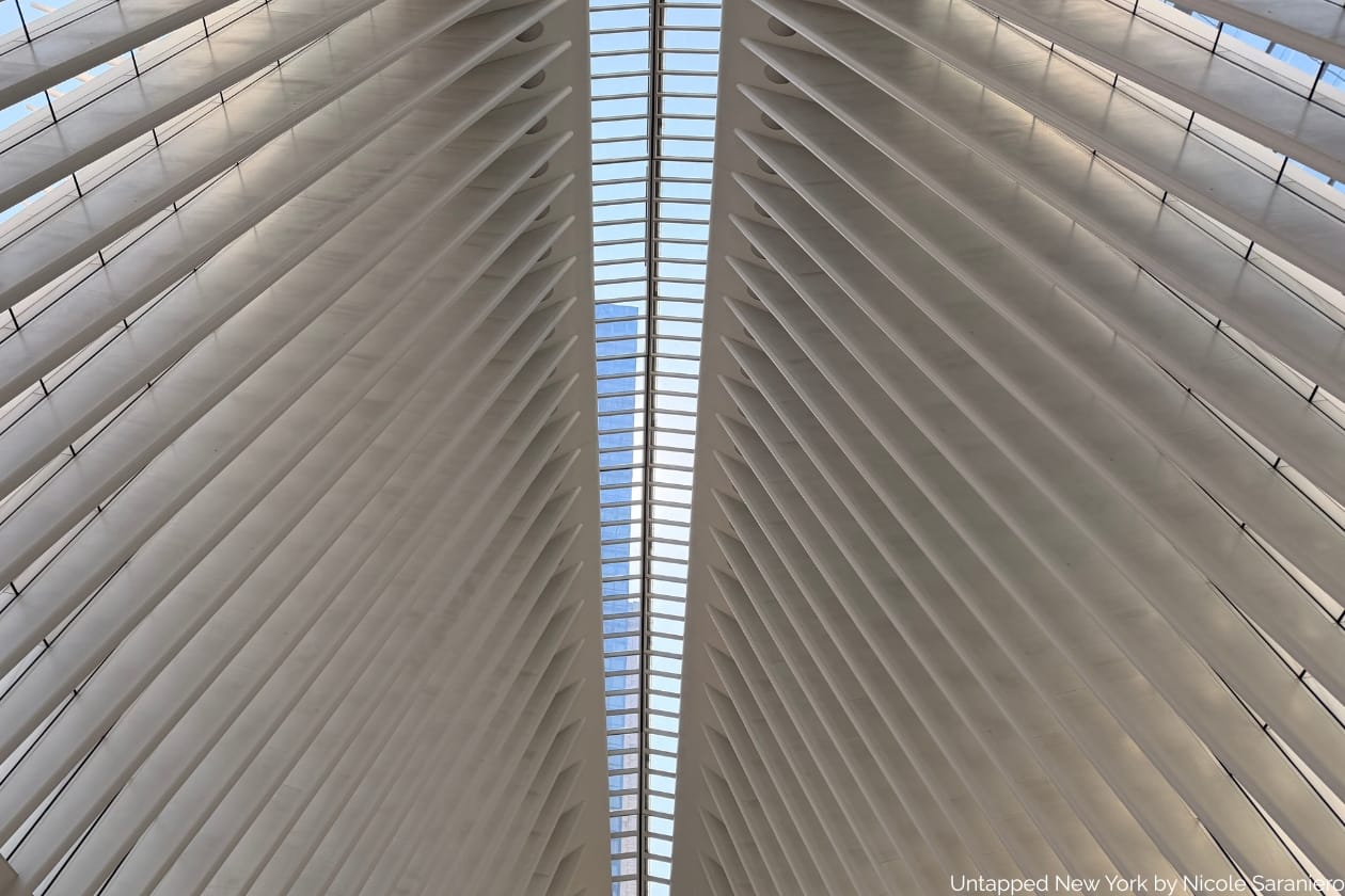 Skylight of the Oculus