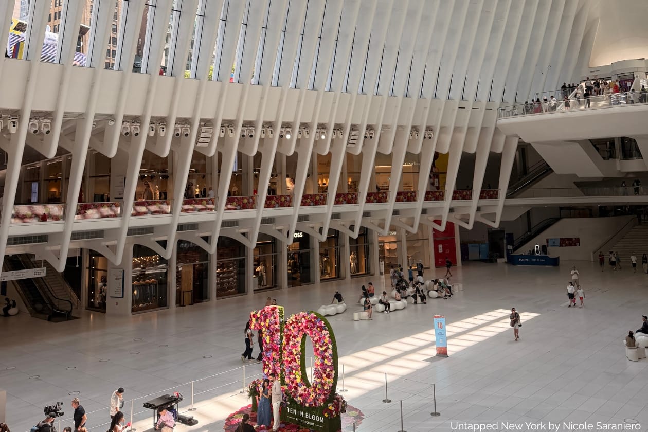 The Oculus Interior