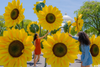 Must-See Art Installations in NYC, June 2025