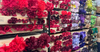A wall of artificial flowers on display