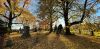 Fall Foliage Photo Walk at The Green-Wood Cemetery