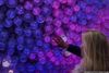New Crystal Designs Unveiled for Times Square New Year’s Eve Ball