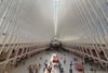 The Oculus