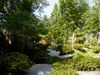 NOLA: Yakumo Nihon Teien at the New Orleans Botanical Garden