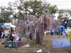 NOLA: A tree grows on the neutral ground