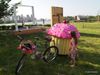 Giant Cupcake goes to Socrates Sculpture Park