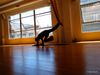Yoga Bugs Find Their Wings at Firefly