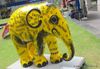 Singapore: Elephant Rampage