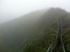Surviving the Stairway to Heaven in Oahu, Hawaii