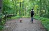 The Hidden Emerald Gem: Forest Park in Queens