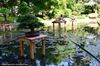The Magical Gardens of Albert Kahn