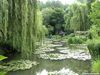 Japanese Gardens: Escape the City