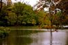 Prospect Park: The Restoration of Music Island