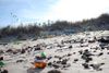 Dead Horse Bay: An Abandoned Beach in Brooklyn [VIDEO]