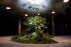 The Lowline Launches New Kickstarter to Build World’s First Underground Park