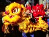 Dragon Dance Chinese New Year