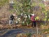 A Secret Christmas Tree in Central Park Dedicated to Pets