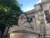 The NYPL Lions: The Lives of Patience and Fortitude