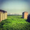 The Best of the Untapped Cities Photo Pool: Colors That Pop in the City