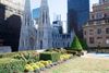 Daily What?! The Hidden Rooftop Gardens of Rockefeller Center