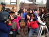 Daily What?! There’s a Stargazing Club on the High Line