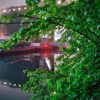 “Gowanus Wild” Photographer Captures a Marriage of Opposites in Industrial Brooklyn