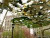 A 500-Foot Canopy of Mirrored Discs Arrives in Madison Square Park