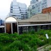 14 Works of Art on the High Line in New Open Air Exhibit “Panorama”