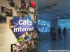 Inside ‘How Cats Took Over the Internet,’ a New Exhibit Open at NYC’s Museum of the Moving Image in Queens