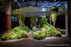 Tour the Lowline, Which Just Got NYC Approval, with a Docent on our Subway Tour