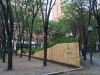 A Mini Redwood Forest is Coming to Downtown Brooklyn