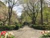 The Top 10 Secrets of Gramercy Park in NYC
