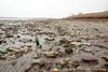 Dead Horse Bay