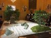 Catch a Japanese Zen Garden Inside Grand Central Terminal for Japan Week
