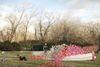 A Rose Garden Made of Pinwheels is Coming to Brooklyn’s Prospect Park